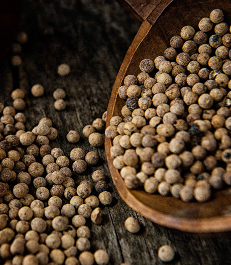 مشاهده کلیه محصولات